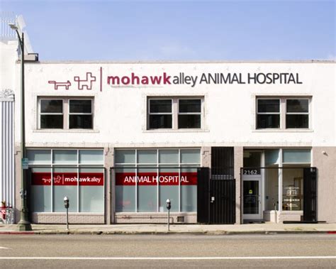 Mohawk alley animal hospital - Mohawk Alley Animal Hospital is looking for a full-time Medical Director to join our other 6 DVMs on staff. We have wonderful, supportive doctors that work as a team, we are Fear Free certified. We are a large practice for small animals.